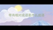 带有相对成语是什么成语