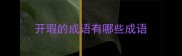 开瑕的成语有哪些成语