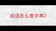 成语怎么查字典