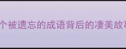 萤雪续弦一个被遗忘的成语背后的凄美故事与文化启示