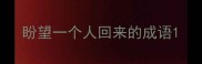 盼望一个人回来的成语