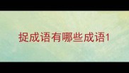 捉成语有哪些成语