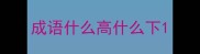 成语什么高什么下