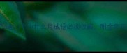 千军万马月这10个中什么月成语必须收藏附全年正确用法指南
