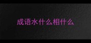 成语水什么相什么