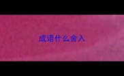 成语什么舍入