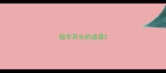 缎字开头的成语