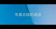 年底总结的成语