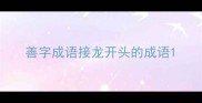 善字成语接龙开头的成语