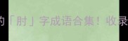 冷门但超实用的肘字成语合集收录高的干货分享