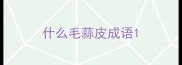 什么毛蒜皮成语