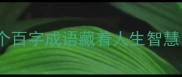 百字成语大这100个百字成语藏着人生智慧看完秒变表达高手