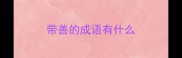 带善的成语有什么