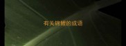 有关锦鲤的成语
