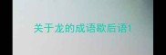 关于龙的成语歇后语