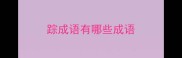 踪成语有哪些成语