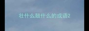 壮什么鼓什么的成语