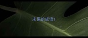 未果的成语