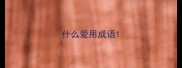什么爱用成语