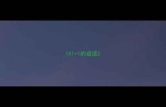 1X11的成语