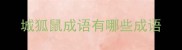 城狐鼠成语有哪些成语