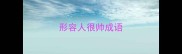 形容人很帅成语