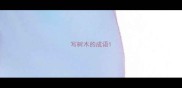 写树木的成语
