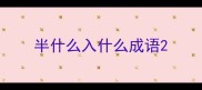 半什么入什么成语