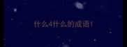 什么4什么的成语