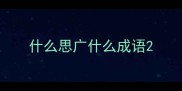 什么思广什么成语