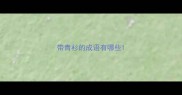 带青衫的成语有哪些