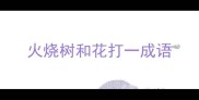 火烧树和花打一成语
