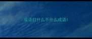 成语目什么不什么成语