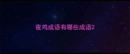 夜鸡成语有哪些成语