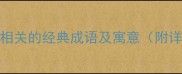10个与鸡相关的经典成语及寓意附详细用法
