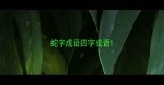 蛇字成语四字成语