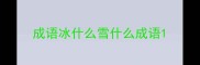 成语冰什么雪什么成语