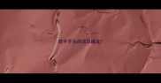 甚字开头的成语接龙