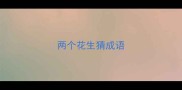 两个花生猜成语