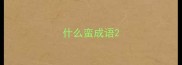 什么蛮成语