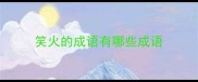 笑火的成语有哪些成语
