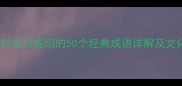 成语百科含日或阳的50个经典成语详解及文化内涵
