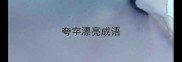 夸字漂亮成语