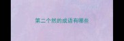 第二个然的成语有哪些