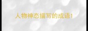 人物神态描写的成语