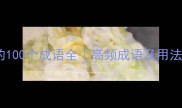 带耳的100个成语全高频成语及用法指南