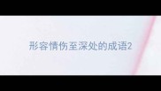 形容情伤至深处的成语
