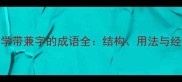 成语教学带兼字的成语全结构用法与经典例句