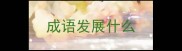 成语发展什么