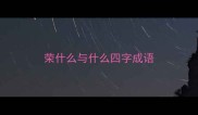 荣什么与什么四字成语